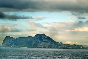 From Costa del Sol: Gibraltar Dolphin Watching by Boat