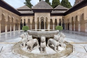 Desde la Costa del Sol: Granada, Alhambra + Tour Palacios Nazaríes