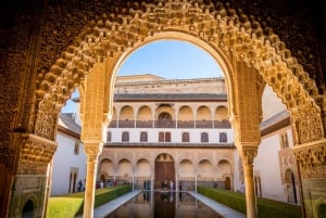Från Costa del Sol: Granada, Alhambra & Nasridiska palatsen