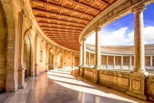 Vanuit Costa del Sol: tour naar Granada, Alhambra en de Nasridenpaleizen