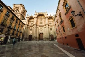 Fra Costa del Sol: Granada Dagstur Fritid 5t