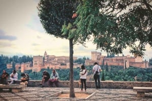 Fra Costa del Sol: Granada Dagstur Fritid 5t