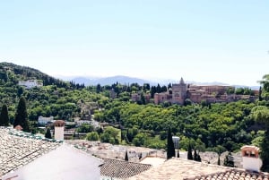 Fra Costa del Sol: Granada Dagstur Fritid 5t