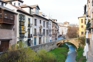 Från Costa del Sol: Granada Dagsutflykt Fritid 5h