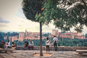 Från Costa del Sol: Granada Dagsutflykt Fritid 5h
