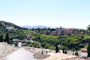 Från Costa del Sol: Granada Dagsutflykt Fritid 5h