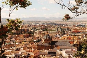 Från Costa del Sol: Granada Dagsutflykt Fritid 5h