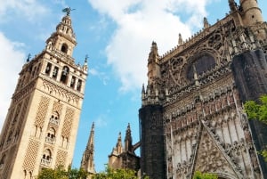 From Costa del Sol: Guided Tour of Seville