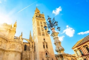From Costa del Sol: Guided Tour of Seville