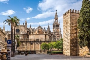 From Costa del Sol: Guided Tour of Seville