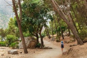 Z Costa del Sol i Malagi: Wycieczka z przewodnikiem Caminito del Rey