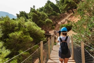 Från Costa del Sol & Málaga: Guidad tur på Caminito del Rey