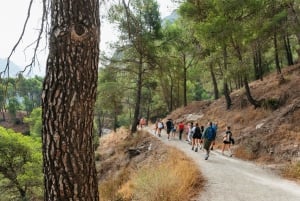 Da Costa do Sol e Málaga: Tour guiado pelo Caminito del Rey