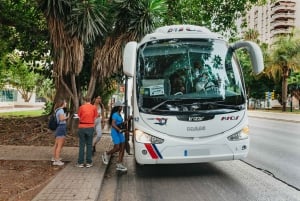 Da Costa do Sol e Málaga: Tour guiado pelo Caminito del Rey