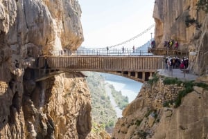 From Costa del Sol & Malaga: Caminito del Rey Guided Tour