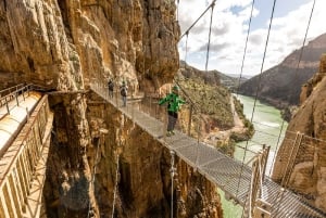 From Costa del Sol & Malaga: Caminito del Rey Guided Tour