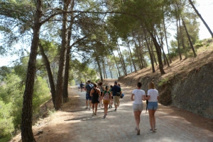 From Costa del Sol & Málaga: Caminito del Rey Guided Tour