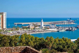 From Costa del Sol: Malaga Half-Day Private Tour