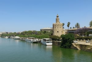 From Costa del Sol & Malaga: Seville Day Trip