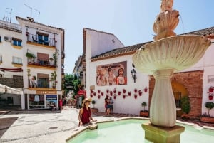 Fra Costa del Sol: Mijas, Marbella og Puerto Banús Tour