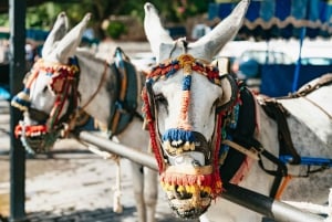 De la Costa del Sol : Visite de Mijas, Marbella et Puerto Banús