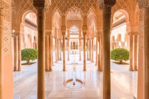 Fra Costa del Sol eller Malaga: Tur til Granada og Alhambra