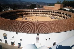 Depuis la Costa del Sol : Visite privée de Ronda