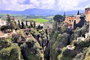 From Costa del Sol: Private Ronda Tour