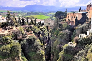 From Costa del Sol: Private Ronda Tour