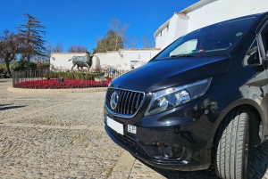 From Costa del Sol: Private Ronda Tour