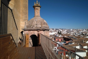 From Costa del Sol: Private Ronda Tour