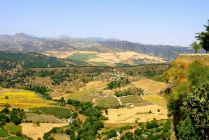From Costa del Sol: Private Ronda Tour