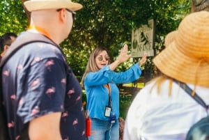 Z Costa del Sol: Ronda i Setenil de las Bodegas