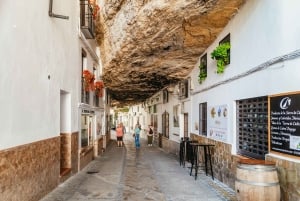Z Costa del Sol: Ronda i Setenil de las Bodegas