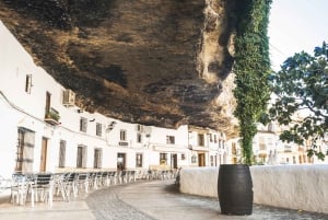 Z Costa del Sol: Ronda i Setenil de las Bodegas