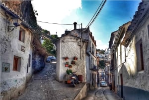 Z Costa del Sol: Ronda i Setenil de las Bodegas