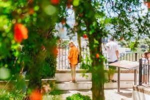 Z Costa del Sol: Ronda i Setenil de las Bodegas