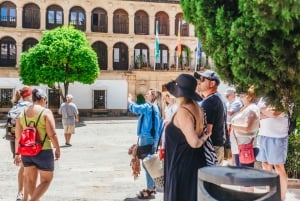 Z Costa del Sol: Ronda i Setenil de las Bodegas