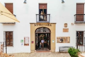 Z Costa del Sol: Ronda i Setenil de las Bodegas