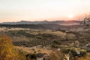 Dalla Costa del Sol: Tour del villaggio di Ronda con biglietto per la Maestranza