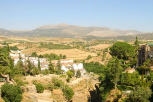 Fra Costa del Sol: Ronda Village Tour med Maestranza-billett