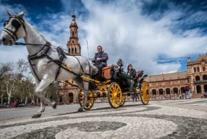 Von der Costa del Sol: Sevilla Tagesausflug mit Real Alcázar Tour