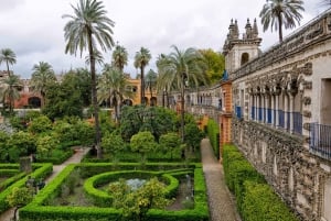 Fra Costa del Sol: Dagstur til Sevilla med omvisning i Real Alcázar