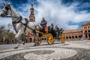 From Costa del Sol: Sevilla Day Trip with Real Alcázar Tour