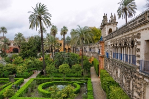 From Costa del Sol: Sevilla Day Trip with Real Alcázar Tour