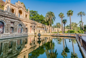 From Costa del Sol: Sevilla Day Trip with Real Alcázar Tour