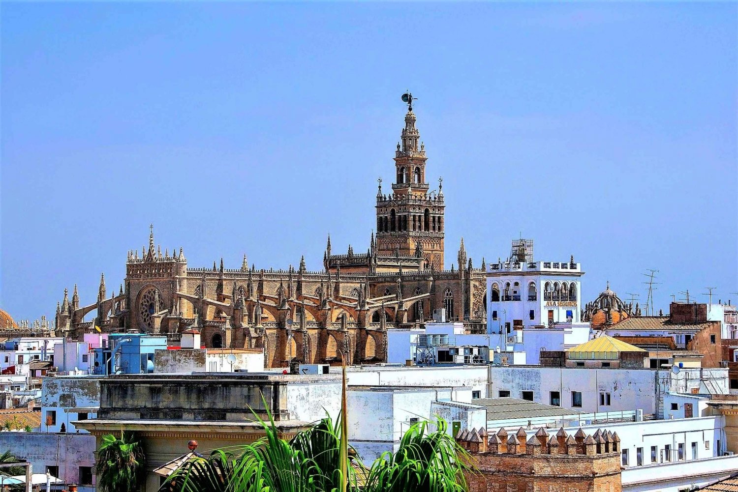 From Costa del Sol: Seville and Royal Alcázar Palace