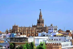From Costa del Sol: Seville and Royal Alcázar Palace