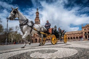 From Costa del Sol: Seville and Royal Alcázar Palace