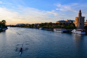 From Costa del Sol: Seville Day Trip